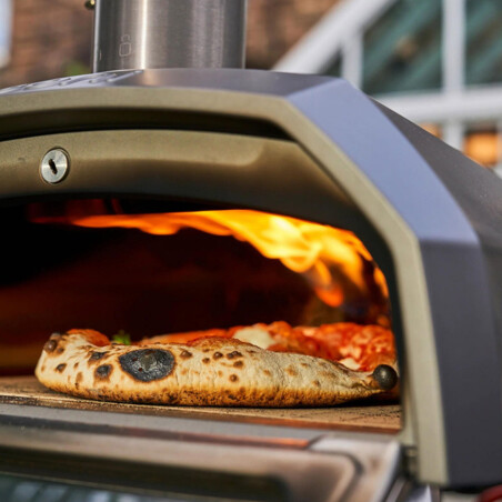 Forno per pizza a gas tradizionale in legno Forno mobile