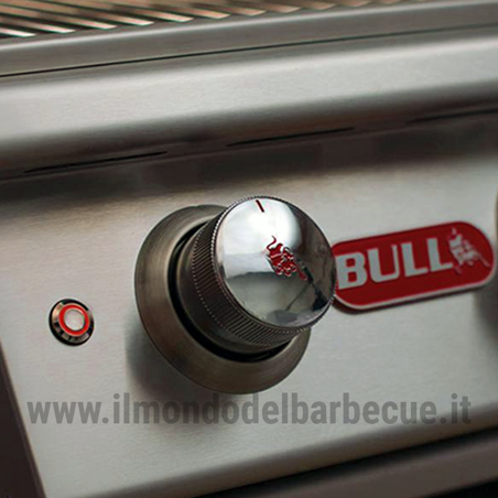 BARBECUE A GAS BULL RENEGADE